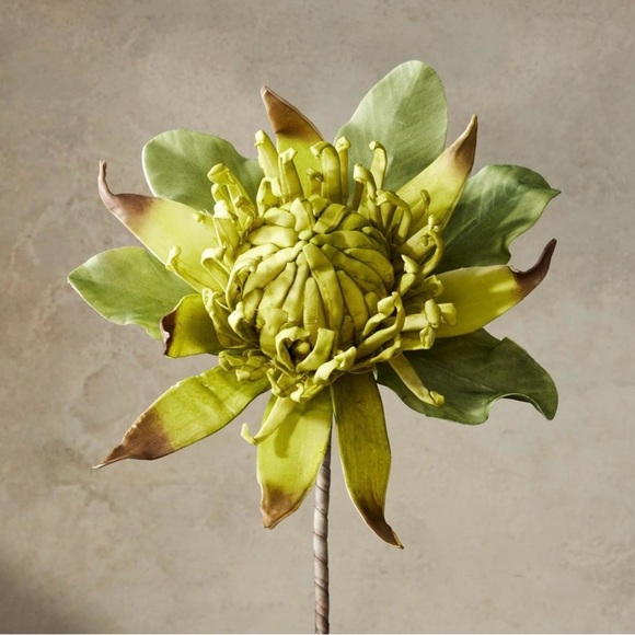 Sundance Briar Bountiful Botanicals Extra Large Floral Stem - Picture 1 of 4